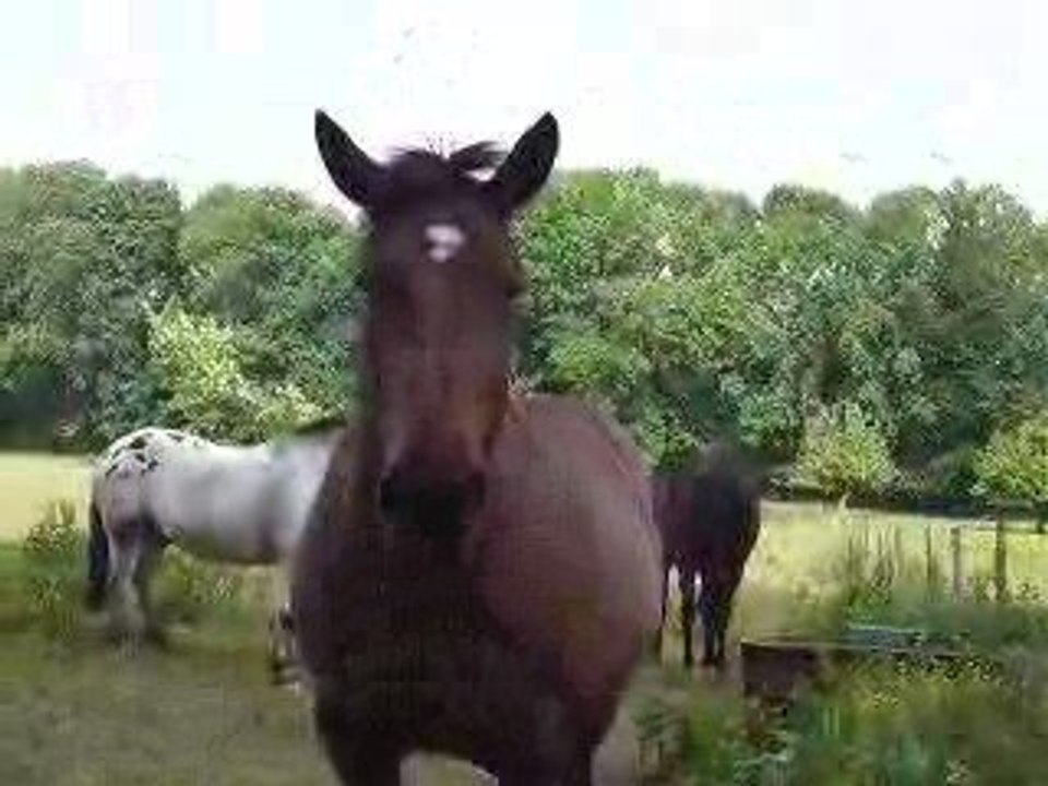 DSCF0034