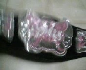 2nd look at the wwe divas belt