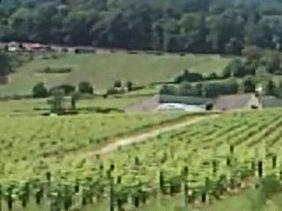 Course de cote sancerre groupe A Clio cup Thierry Tierce