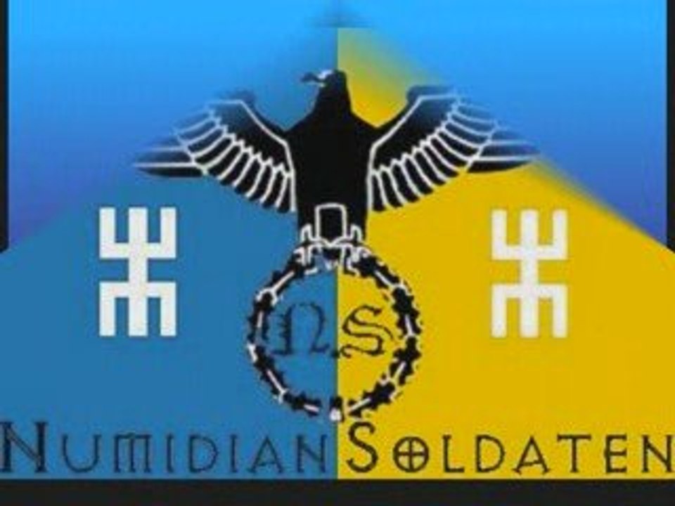 "Mr le président" chanté par notre rebelle éternel !