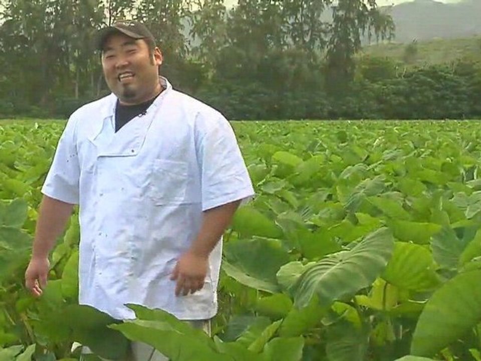 Hawaiian Grown TV - Dry Land Taro Leaves - Promo