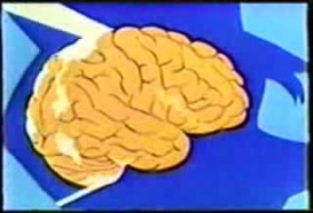 Fisiologia del estres