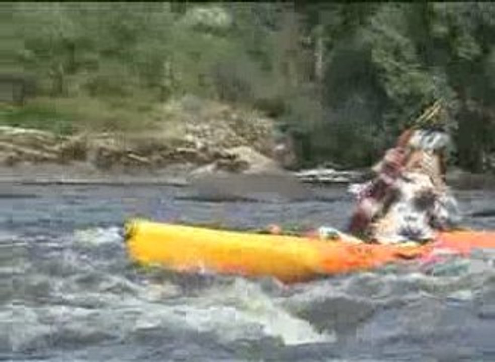 Descente en canoé par une vache guitariste