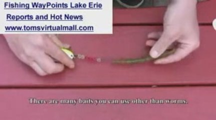 How to Catch Walleye Erie