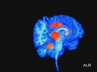 RMf: Leyendo la mente (2)