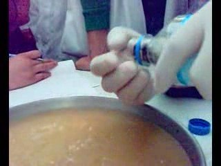 Hamam Böceği diseksiyonu (Bölüm-1)