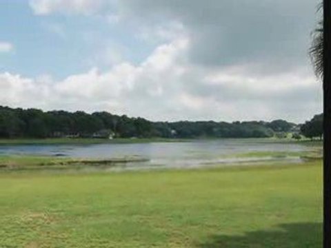 1350 Chebon Ct - Apopka, Fl