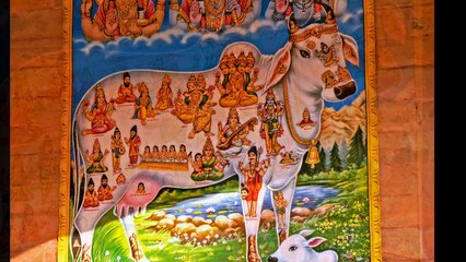 NEPAL 2008 KATHMANDU PASHUPATI AREA  Mrigasthali Deer Park