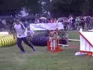 Absie des Côteaux du Lys