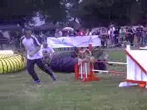 Absie des Côteaux du Lys