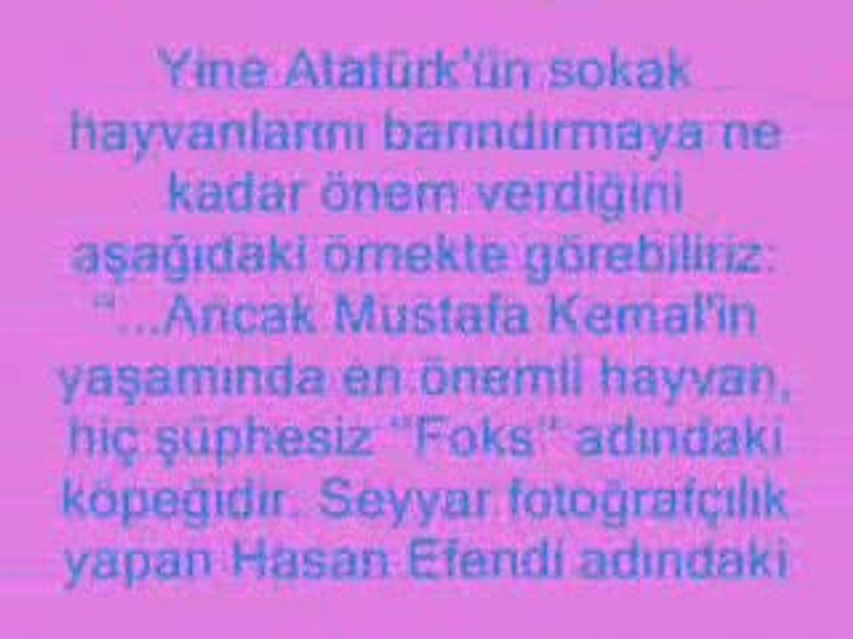 Kültürümüzde hayvan sevgisi