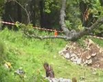 Les fouilles archéologiques de Fessole (38-Vercors nord)