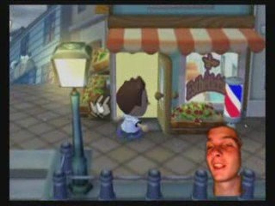 [VIDEOTEST] Animal Crossing Wii