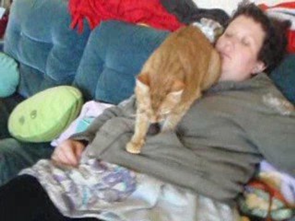 Massage de chat