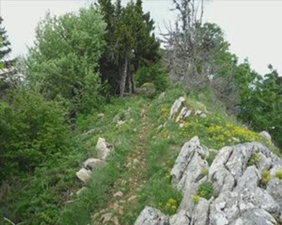 Boucle de Fessole (38- Vercors nord)