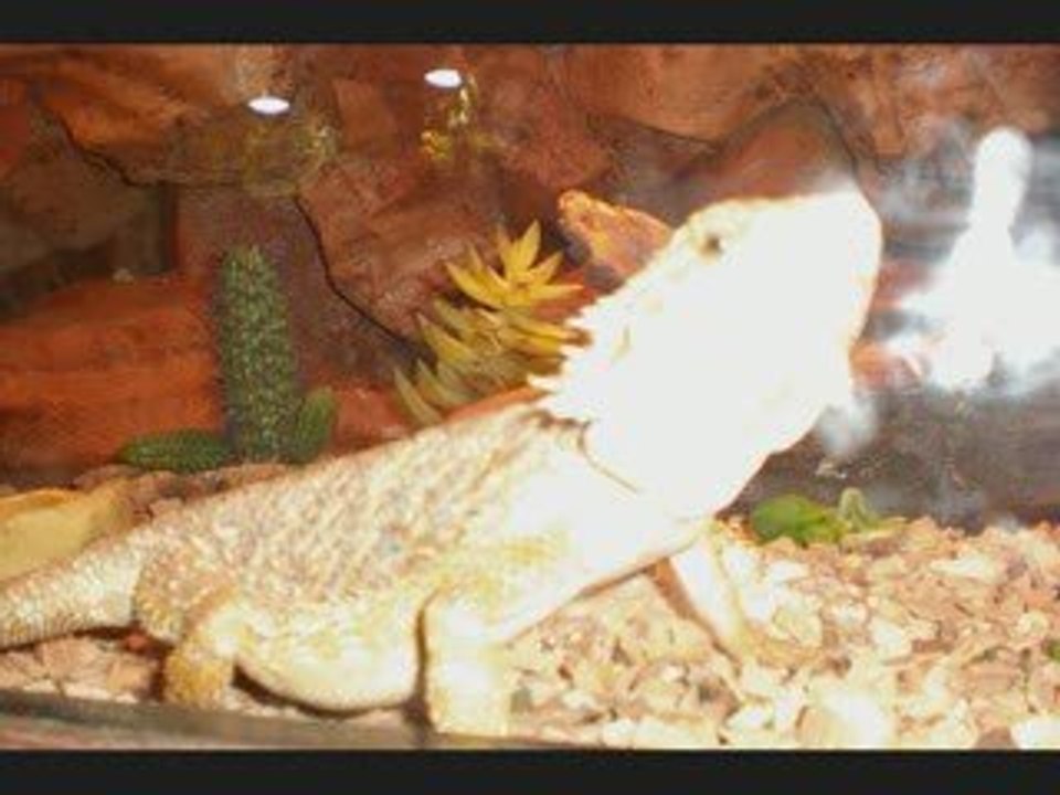 Aquarium du Périgord Noir