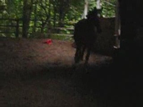 centre équestre andilly