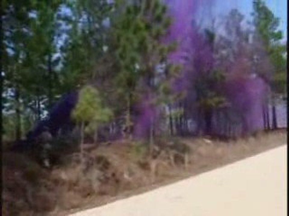 Fun: Rapid Reaction Force style