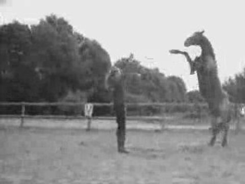 Vidéo couché assis rev cabré.._0001