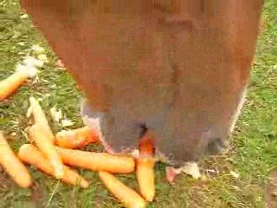 Kirikou mange cracra