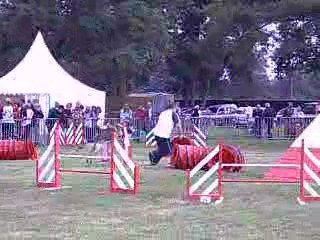 Absie des Côteaux du Lys