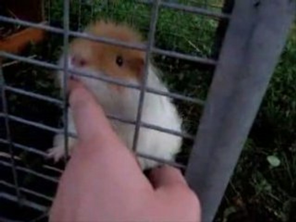 Ricky fait des bisous
