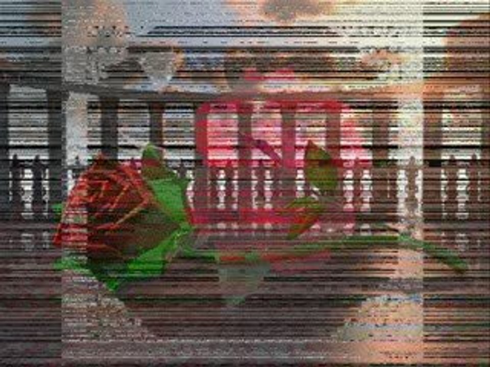 Wordpress ailesine hediyem