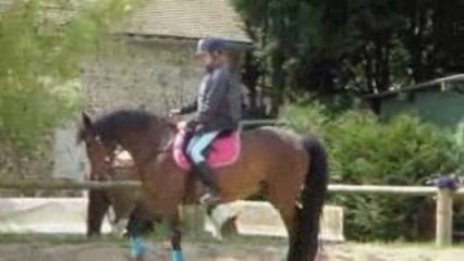 Nectar pas hyper sympa avec Aurélie