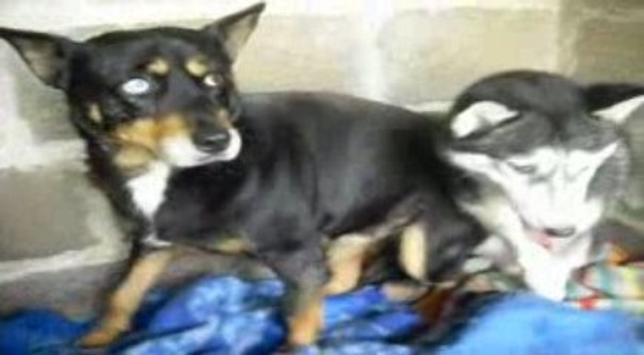 Winnie & Palou en progrès !