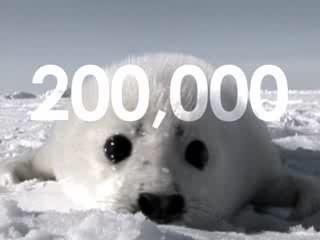 Canada: The Whole World Is Watching