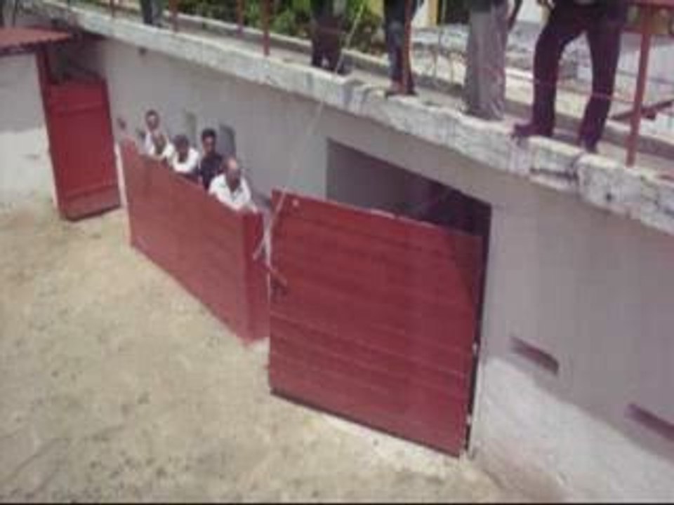 Desencajonamiento de los Toros de la Corrida de FUNDAVA