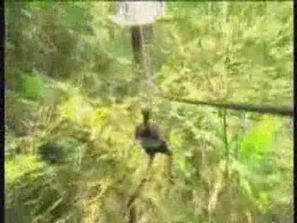 Flight of the Gibbon Adventure Eco-Tour Thailand