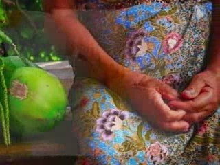 Say YES to Life at The Sanctuary