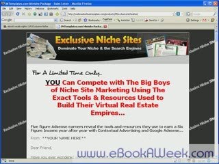 Free eBook Download #6 - 85 Niche Sites (Adsense Ready)