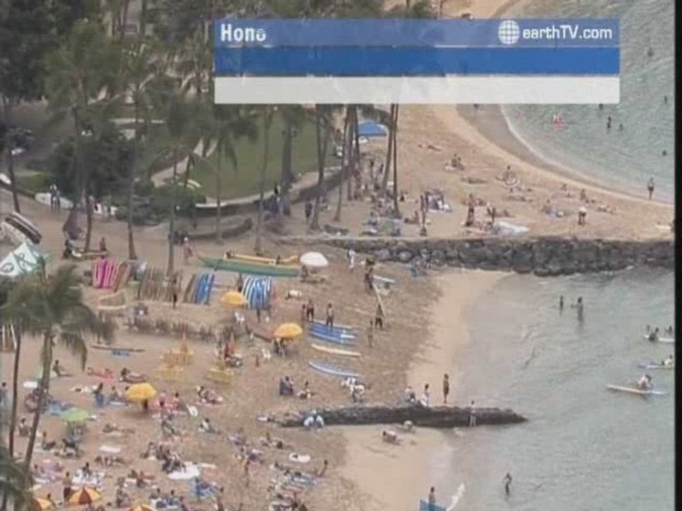 Avignon - France, Berlin - Germany, New York - USA, Budapest - Hungary, Washington - USA, Honolulu - USA, Johannesburg - South Africa