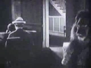 PSA - No Lions At The Movies