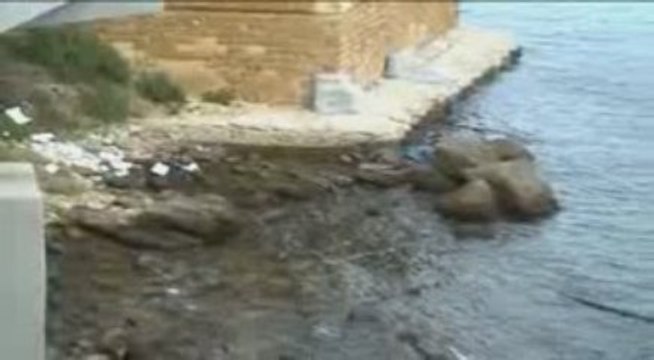 Baila baila con Filonide Taranto