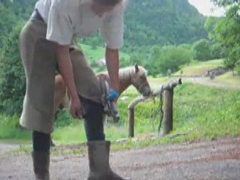 Journée maréchalerie et débourrage