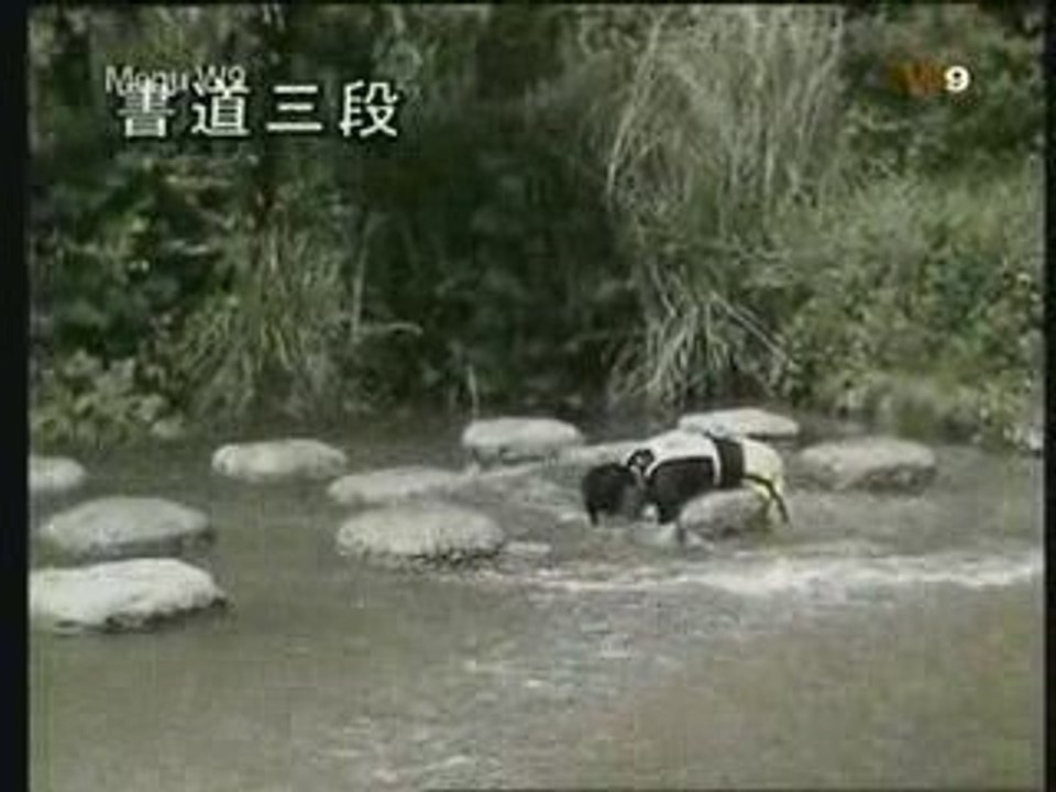 Takeshi - le patron énorme ^^