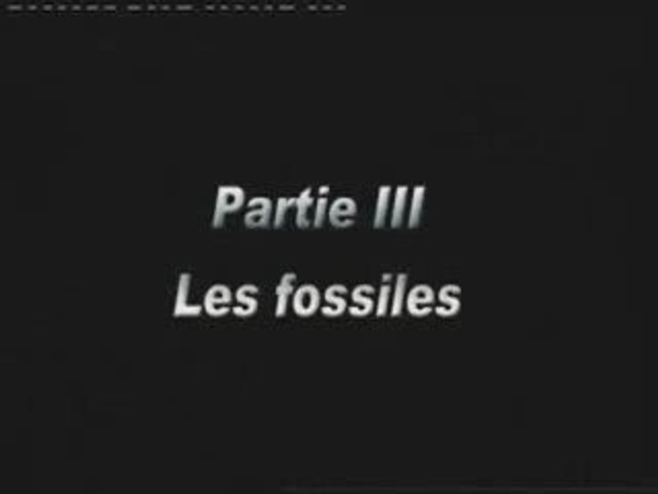 Les Fossiles Refutent La Theorie De L'Evolution