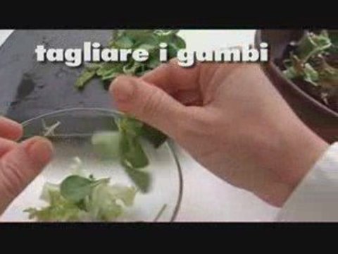 Insalata di mesclun al formaggio di capra