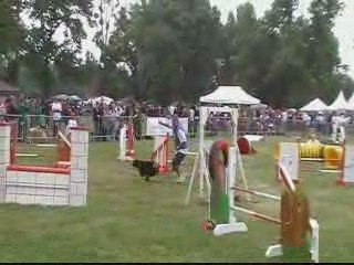 CDF 2EME DEGRE C M2 VANKA