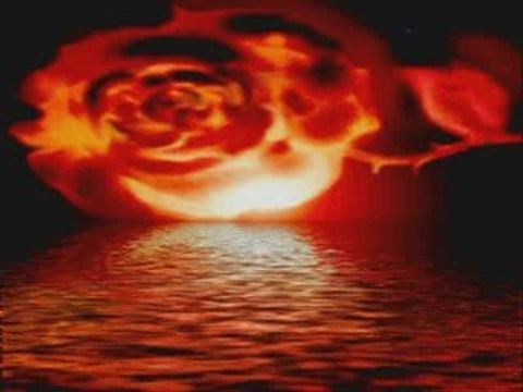 Montage petits freres et soeurs et moi meme