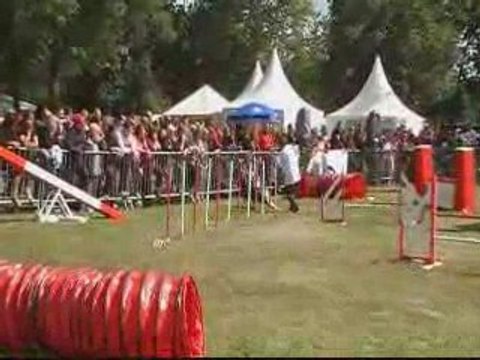 CDF 3EME DEGRE C M2 PEPS