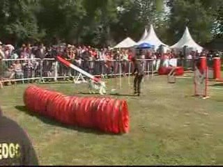 CDF 3EME DEGRE C M2 BLUE EYES