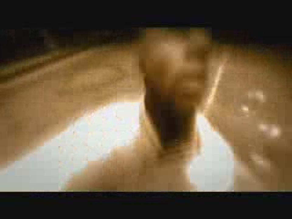 Introduction left 4 dead (version française)