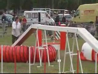 CDF 2009 ROLLINGS M3