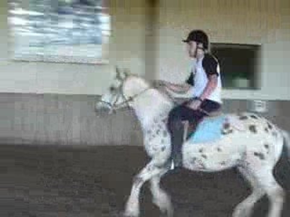 ARNAUD & BOHEMIO CONCOURS JUIN 2009 1