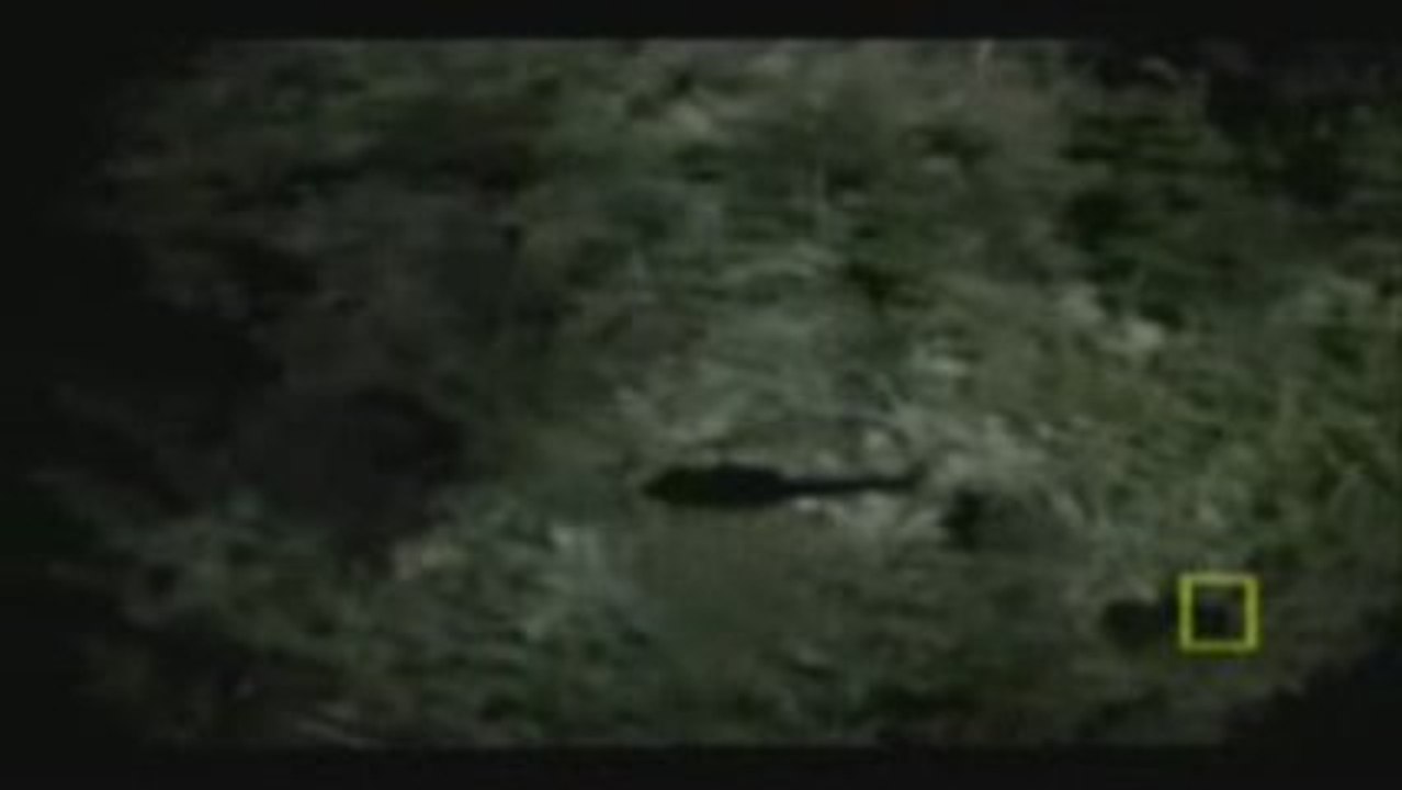 The Rescue : le sauvetage