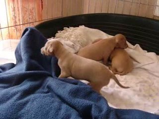 On essaie de marcher